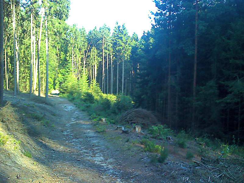 4 Příhrazy lesní cesta