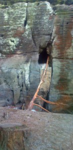 97-jeskynka-pod-vidlakem.jpg
